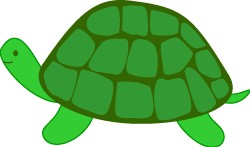 Turtle clipart clipart cliparts for you 3