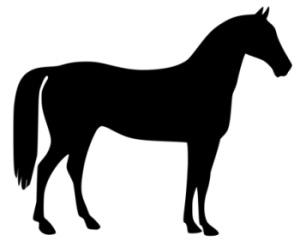 Western horse riding clipart free clipart images 2