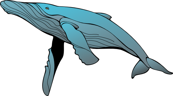Whale clip art clipartion com