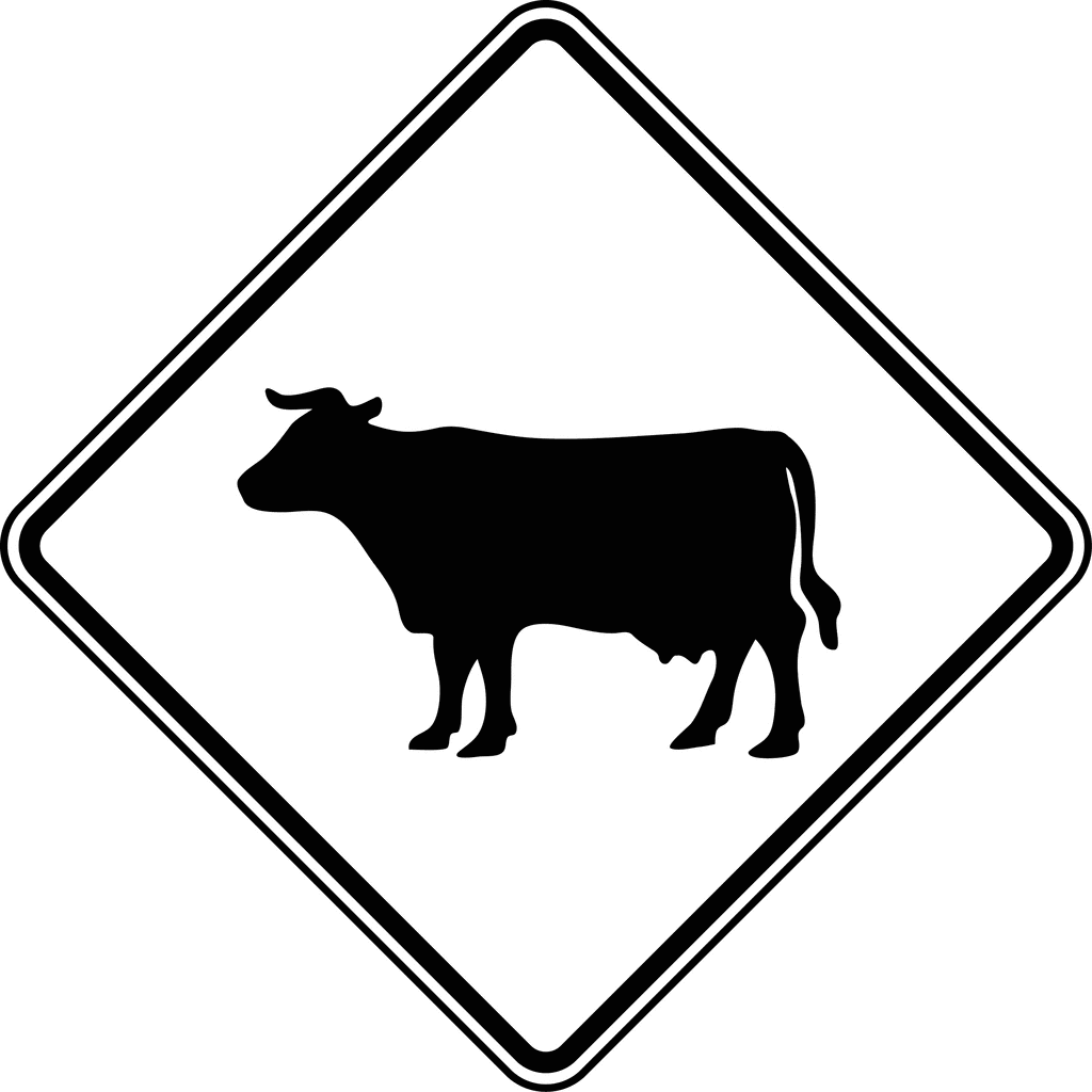 White cow clip art cattle