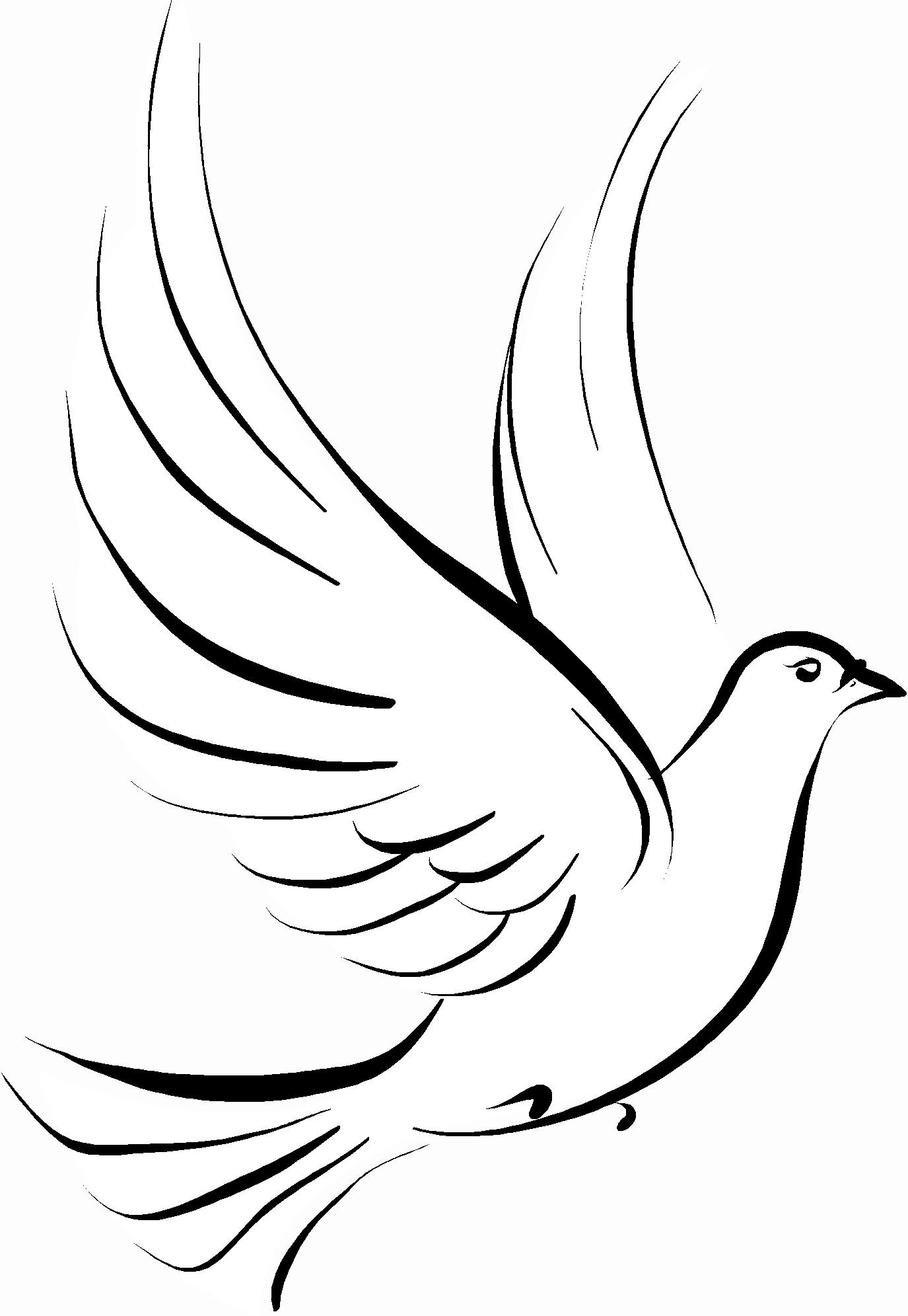 White dove free clip art dayasriod top