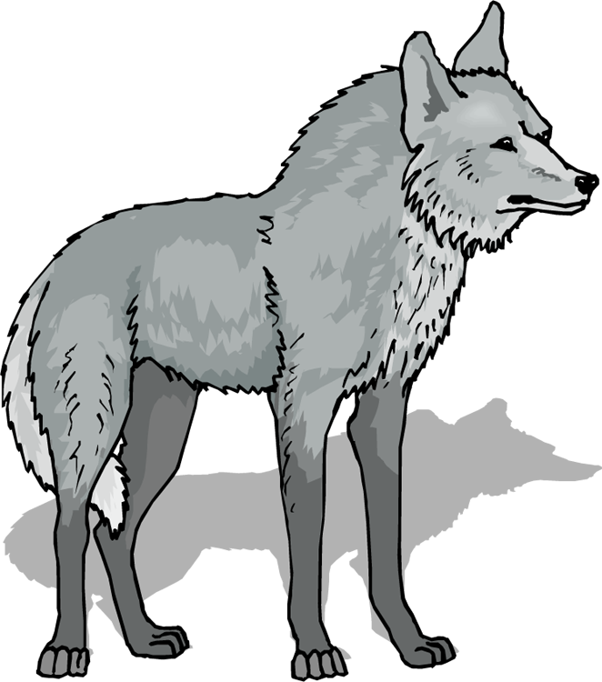 Free Wolf Clipart Pictures Clipartix