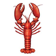0 ideas about lobster tattoo on crab tattoo tiki cliparts