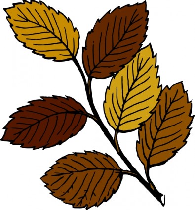 Autumn fall leaves clip art free vector for free download about free