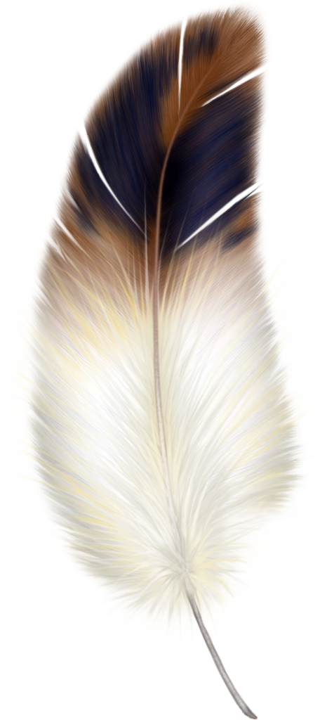 Brown and white feather clipart 0