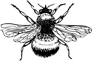Bumble bee clip art free vector in open office drawing svg svg 5