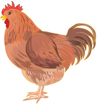 hen clip art free