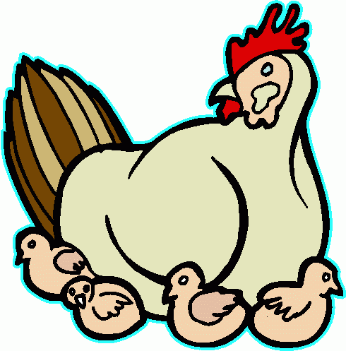 Chicken clipart free clipart cliparts for you
