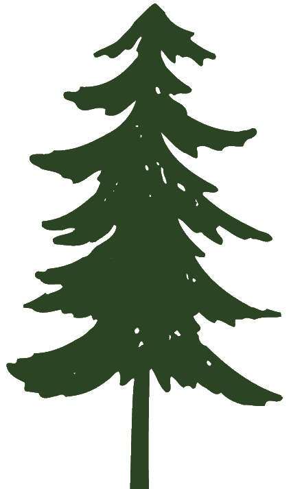Clip art pine trees black and white free clipart image