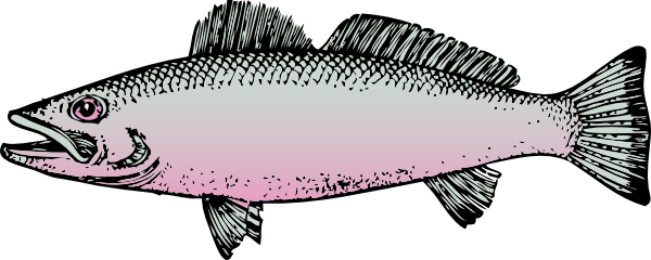 Clipart of fish 5 image
