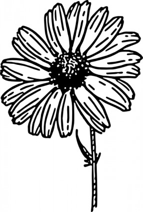 Daisy clip art free vector in open office drawing svg svg