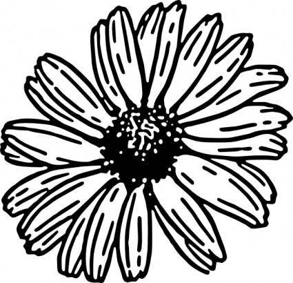Daisy vector clip art free vector for free download about