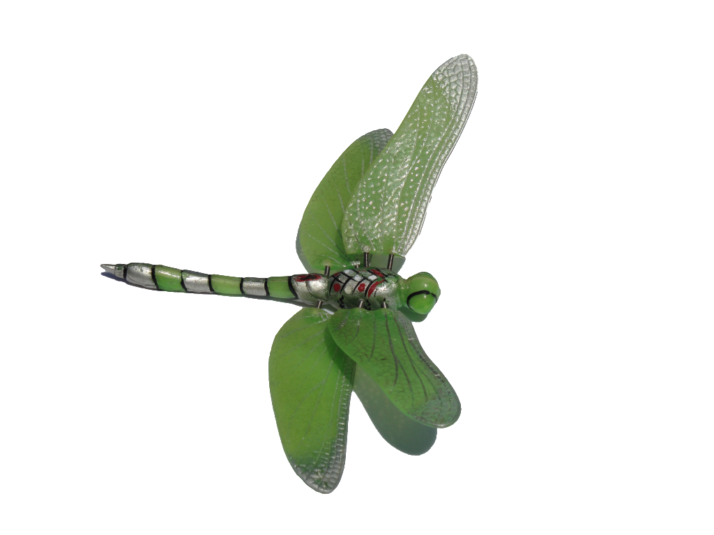 Dragonfly clip art photo