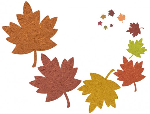 Fall leaves clipart 3
