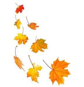 clipart images of fall leaves