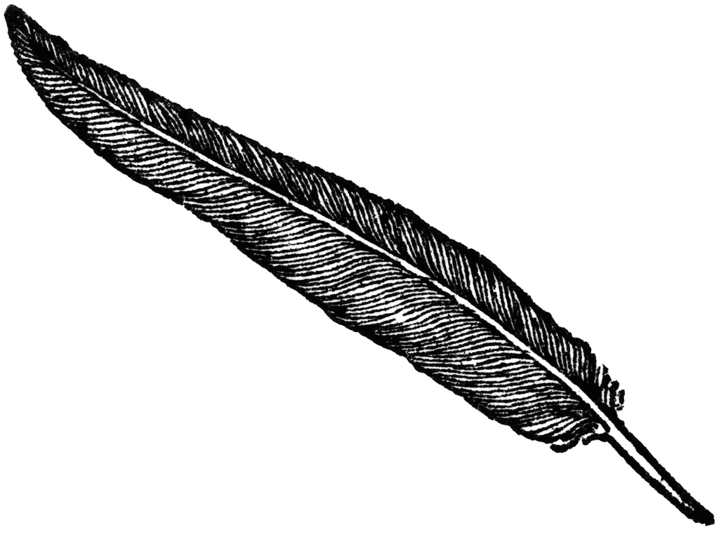 Feather clip art 2