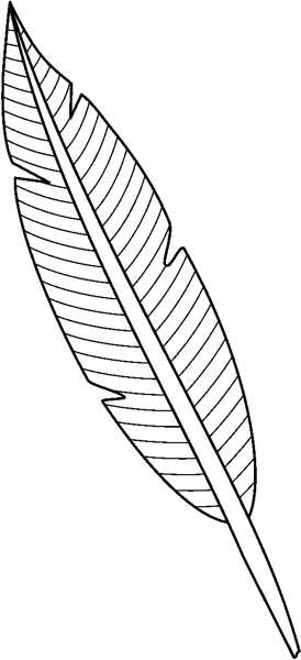 Feather clipart free clipart images clipartcow