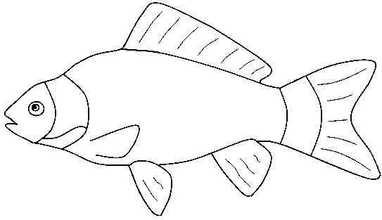 Fish clip art black and white printable saltwater fish outlines