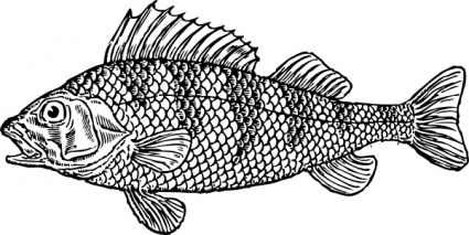 Fish fry clip art vector fish fry graphics clipart me
