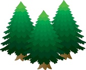 Free Pine Tree Clip Art Pictures - Clipartix