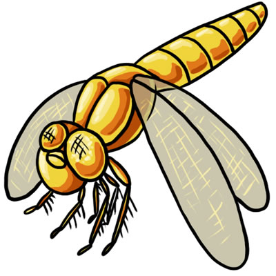 Free dragonfly clip art 10