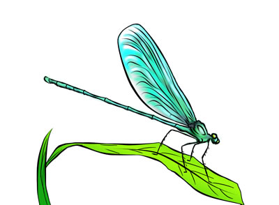 Free dragonfly clip art 2 2