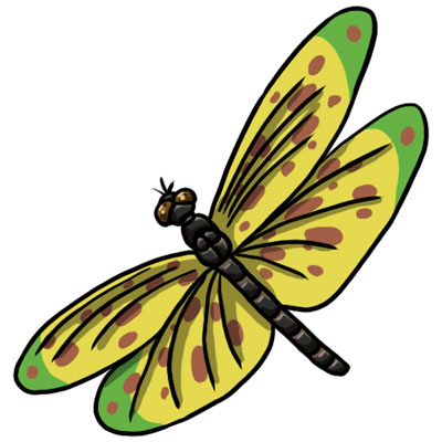Free dragonfly clip art 5 - Clipartix