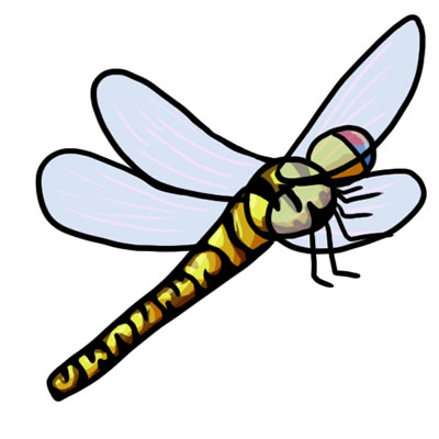Free dragonfly clip art 8