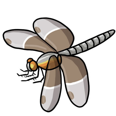 Free dragonfly clip art 9