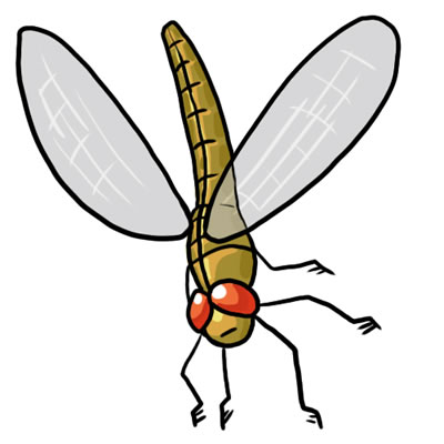 Free dragonfly clip art clipart clipart