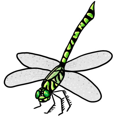 Free dragonfly clip art drawings and colorful images 2