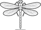 Free dragonfly clipart – Clipartix