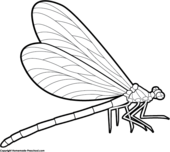 Free dragonfly clipart 3 – Clipartix