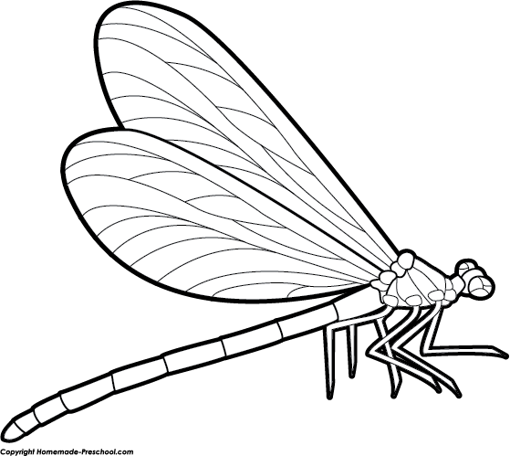 Free dragonfly clipart 3