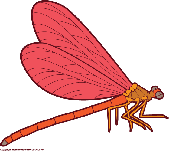 Free dragonfly clipart 4