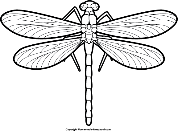 Free dragonfly clipart