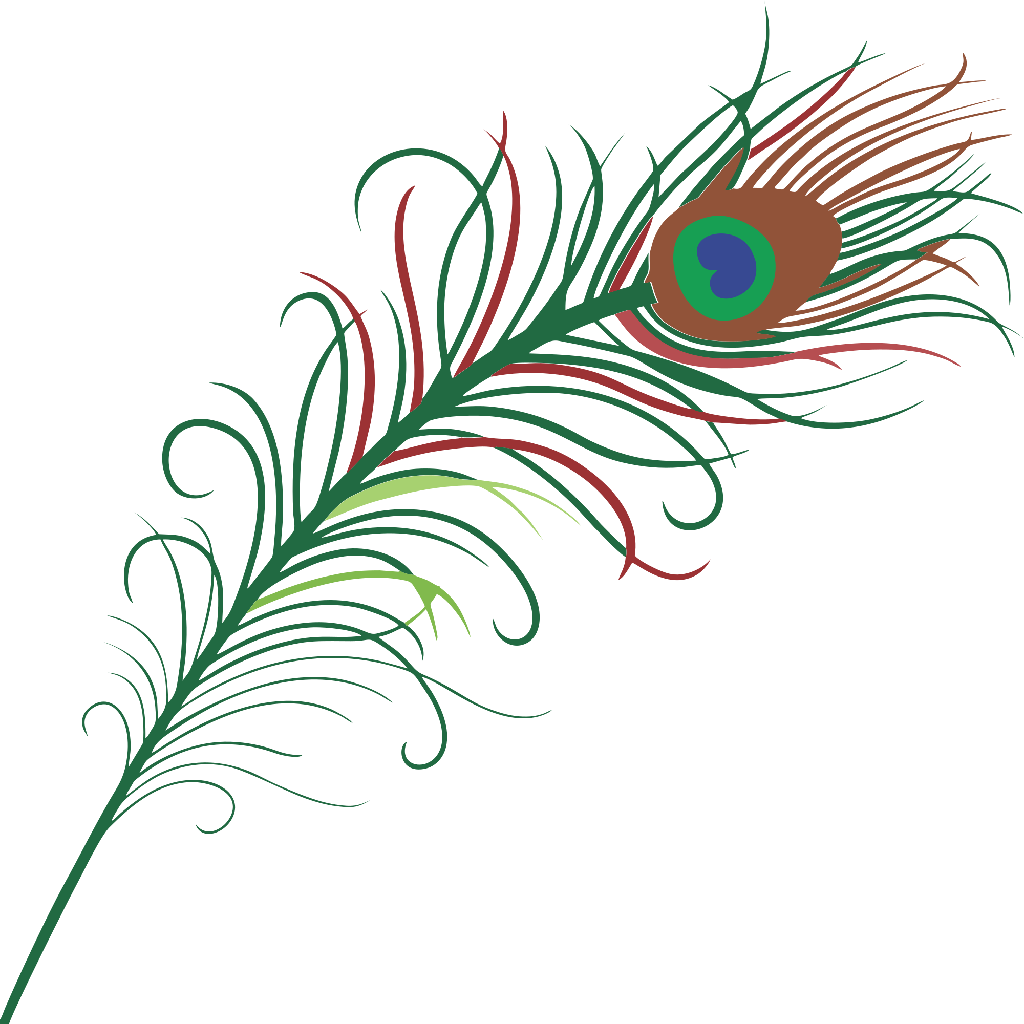 Free peacock feather clipart clipart and vector image