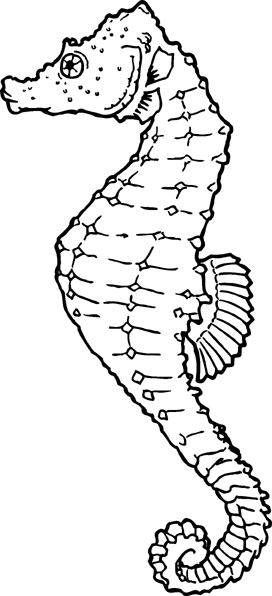 Free seahorse clipart 1 page of public domain clip art