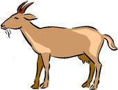 Goat clip art free download free clipart images 3 – Clipartix