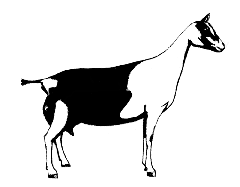Goat clip art goatworld articles goatworld 4