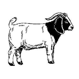 Goat clip art vector goat graphics image