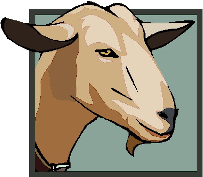 Goats clip art 5