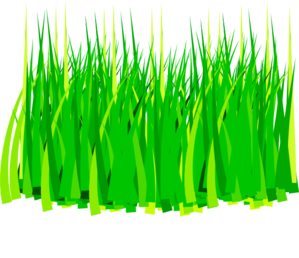 Grass 3 clip art at clker vector clip art
