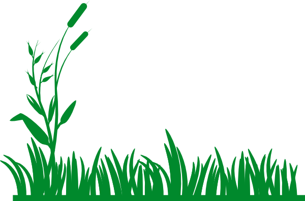 Grass clip art vector clip