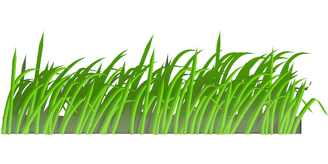 Grass free to use clipart 2