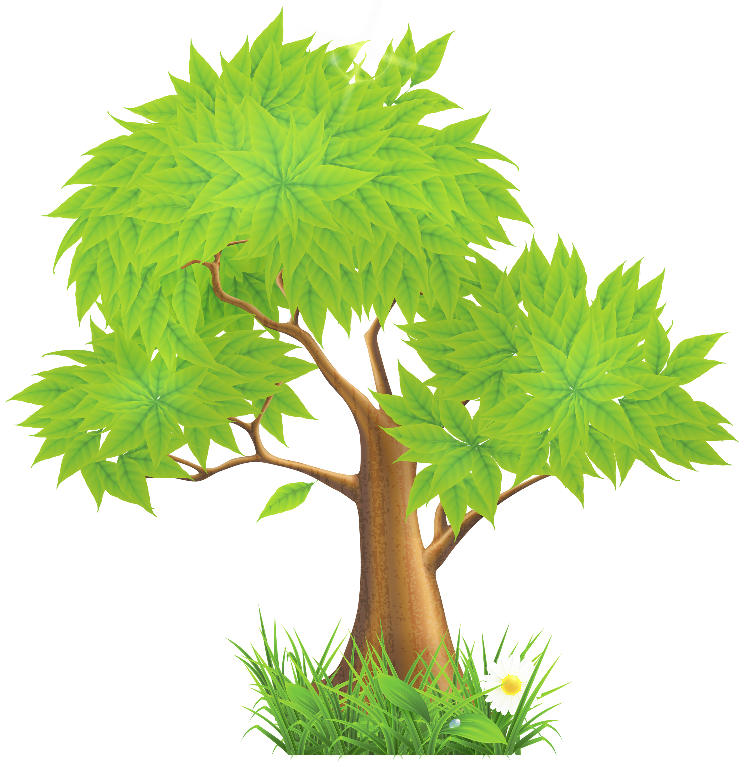 Image of tree clipart 5 pine tree clipart free clipartoons