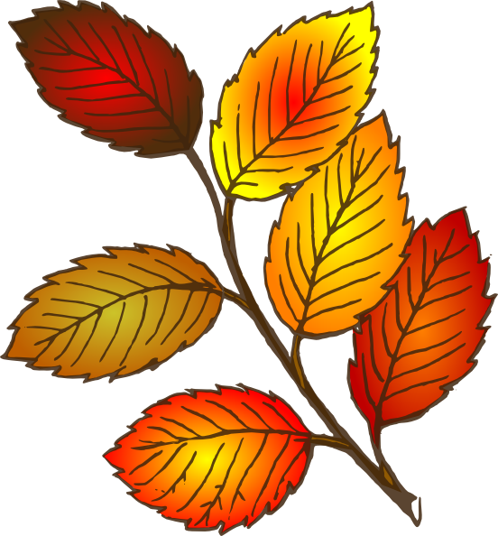 Leaf free leaves clipart free clipart graphics images and photos 2 5