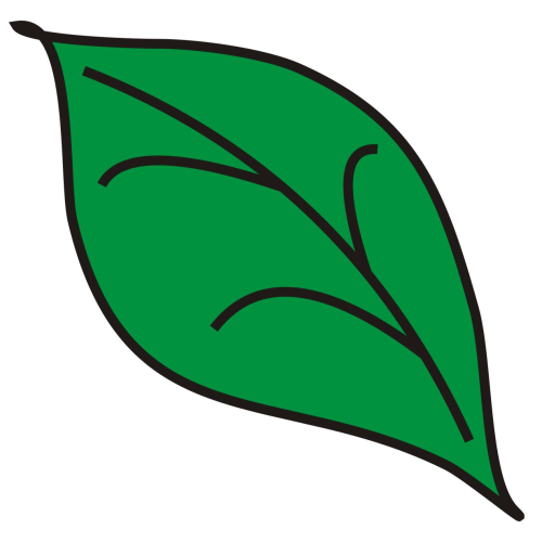 Leaves ash leaf clipart clipartbold clipartix