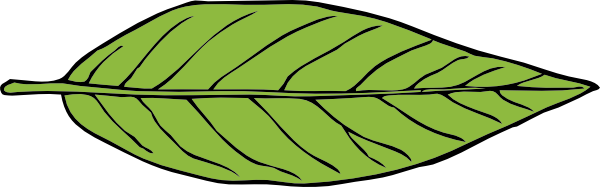 Leaves free to use cliparts