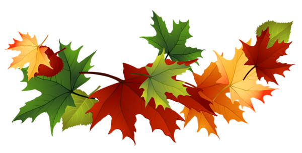 Leaves gallery free clipart pictures